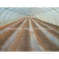 low cost greenhouse tunnel greenhouse single span greenhouse
